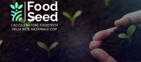 Venture capital e start-up nel 2026: le nuove strategie per il successo