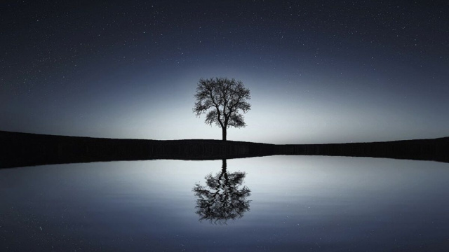 Cielo notturno su un albero solitario - pixabay.com