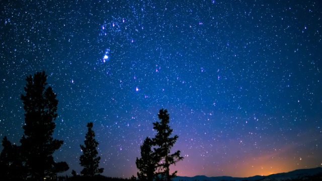 Cielo stellato con alberi- &copy;Pexels