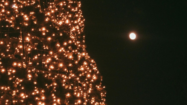 Albero di Natale con luna piena- &copy;Pexels