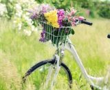 Una bicicletta in mezzo alla natura (© Pixabay).