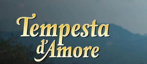 Il logo della soap © Tempesta d'amore.