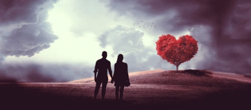 Coppia che osserva un albero a forma di cuore © Pixabay