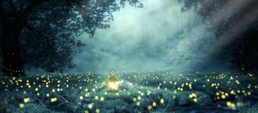 Una lanterna che illumina un prato di notte © pixabay.com