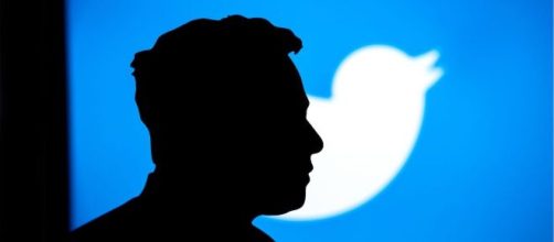 Il profilo di Elon Musk e il logo di Twitter nel 2022. © Shutterstock