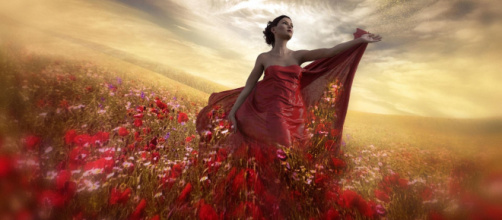 Donna in rosso in un campo di papaveri - © Pixabay
