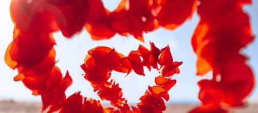 Petali a forma di rosa © Immagine di Pexels.