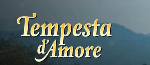 Il logo della soap © Tempesta d'amore.