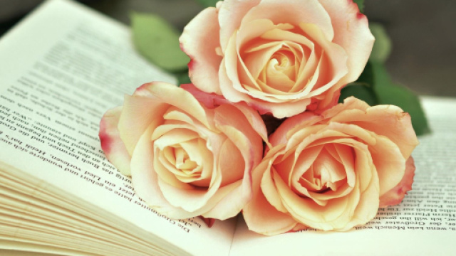 In foto un libro con delle rose © Pixabay.