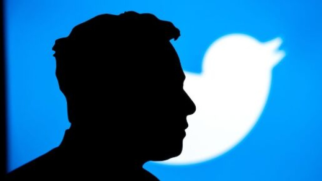 L'ombra di Elon Musk e il vecchio logo di Twitter. ©Shutterstock