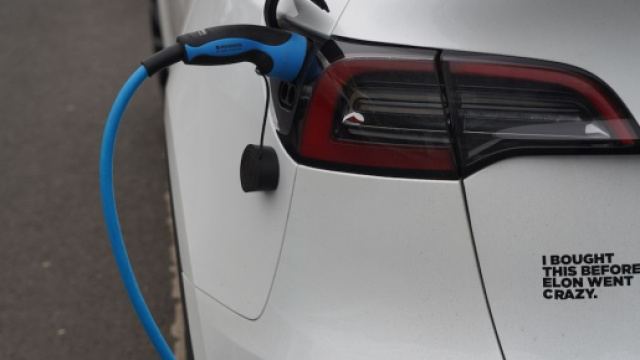 Una Tesla con l'adesivo che Piccolotti dice di aver attaccato alla sua Model Y. ©Shutterstock