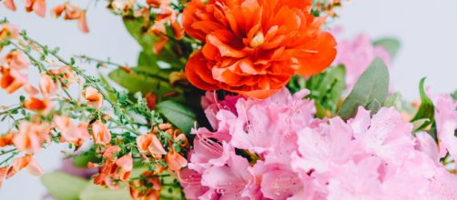 Un vaso di fiori colorati © Pexels