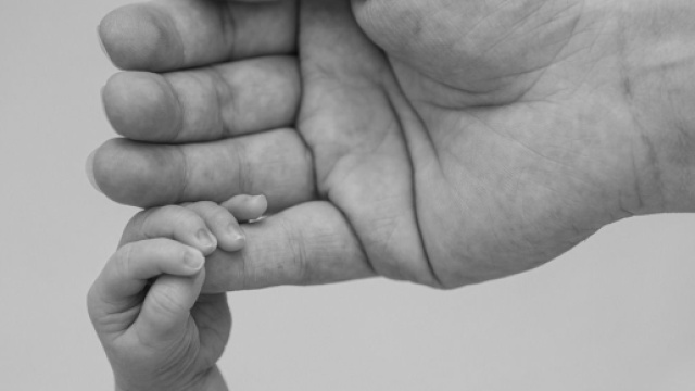 La collaborazione dei genitori &copy;pixabay.