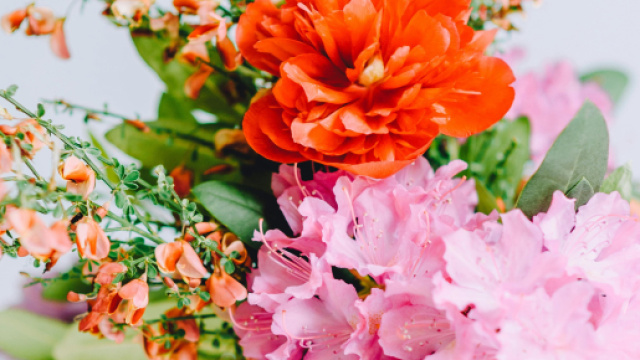 Un vaso di fiori colorati © Pexels