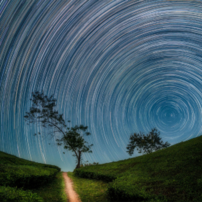 Scie stellari sulle colline verdi © Pexels.