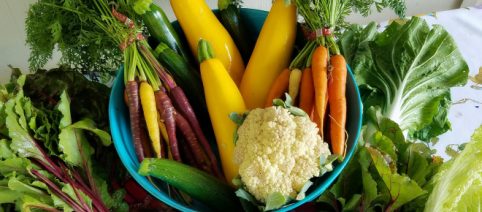 Zucchine alla provenzale, un contorno di origine francese