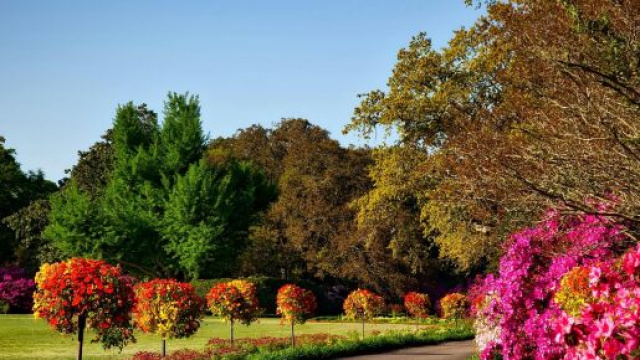 Un viale di fiori e alberi (© Pexels).