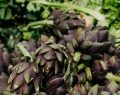 Risotto carciofi e pomodorini secchi alla siciliana, un primo piatto invitante