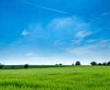 Cielo azzurro sopra un campo d'erba © Pexels.com