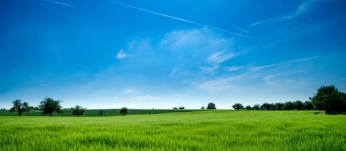 Cielo azzurro sopra un campo d'erba © Pexels.com