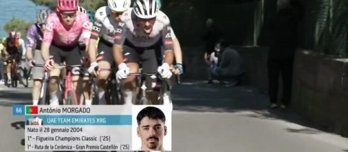 Il gruppo nel Trofeo Laigueglia - © Rai Sport