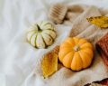 Gnocchi di zucca ai formaggi: un primo piatto invitante e gustoso