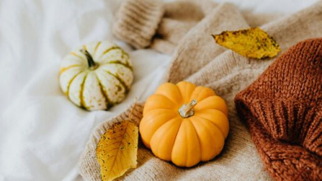 Foto delle zucche © Pexels.com