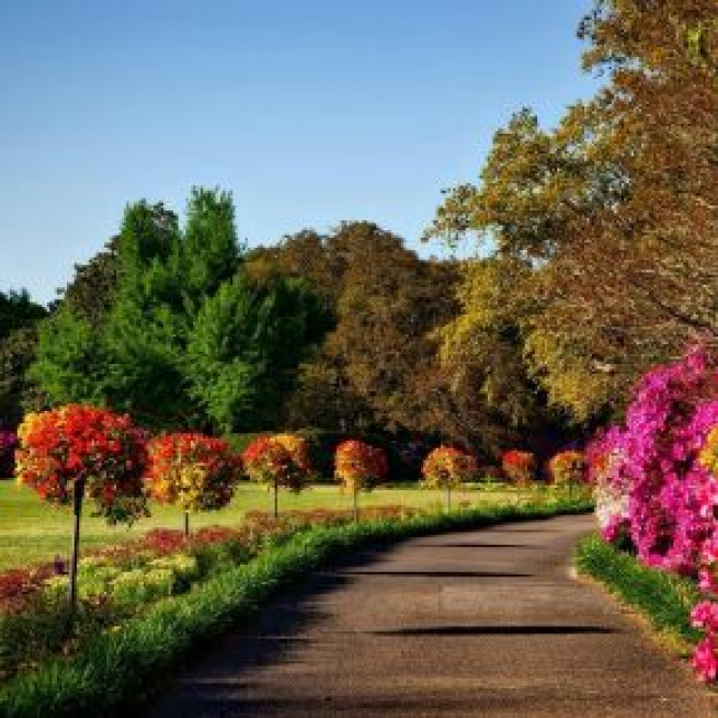 Un viale di alberi e fiori (©pixabay.com).