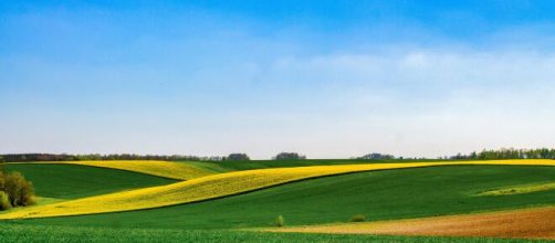 Paesaggio di campagna © Pexels.com