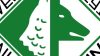 Avellino, i lupi tornano in Serie B