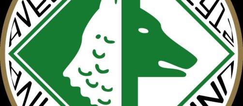 Il logo dell'Avellino © US Avellino