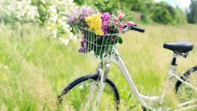Una bicicletta in un prato verde © Pixabay