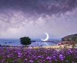Panorama di cielo e mare notturno – immagine © Pixabay.