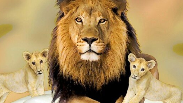 Leone e alcuni cuccioli © Pixabay