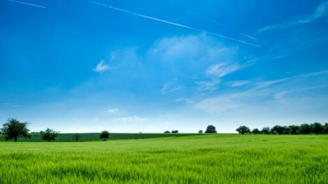 Un prato e cielo azzurro © Pexels.com