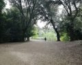 Roma, mamma e figlia neonata decedute nel parco: si indaga negli ospedali di tutta Italia