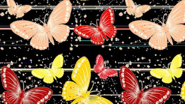 Farfalle colorate su sfondo nero &copy; Pixabay