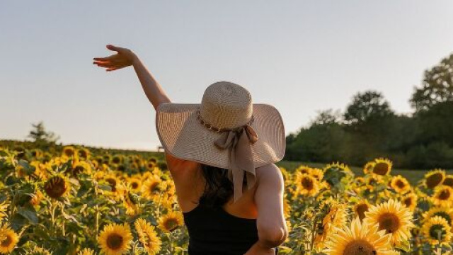Ragazza su un campo di girasoli (©pixabay.com)