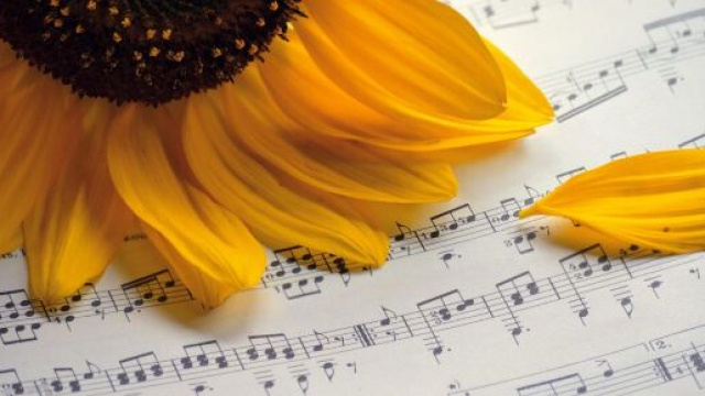 Un girasole su uno spartito musicale (©pixabay)