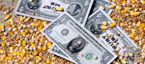 Quello che resta dopo il matrimonio dell’anno di Bezos a Venezia