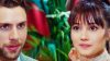 Forbidden Fruit, trame 1^ stagione: Zeynep accetta di seguire Cem in America