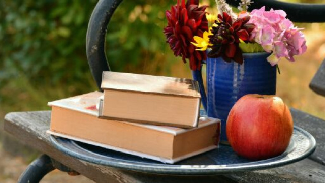 Libri, vaso e una mela su una panchina- © Pexels