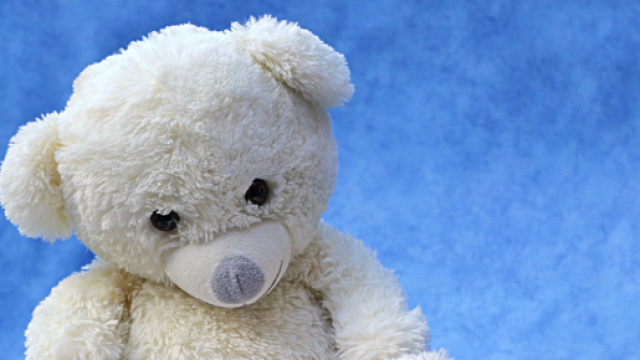 Orsetto di peluche con libro aperto - © Pixabay IA.