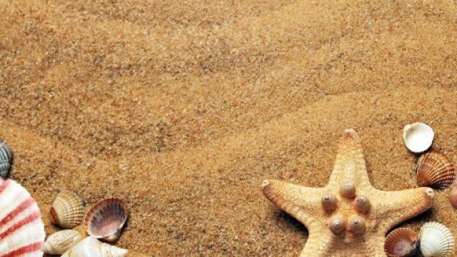 Stelle marine e conchiglie sulla sabbia (©pixabay.com).
