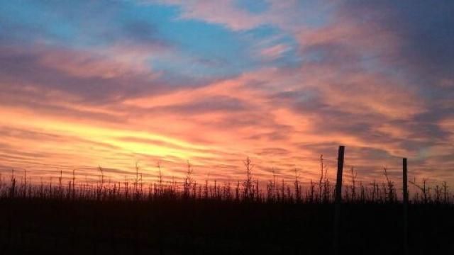 Cielo al tramonto su un campo (©pixabay)