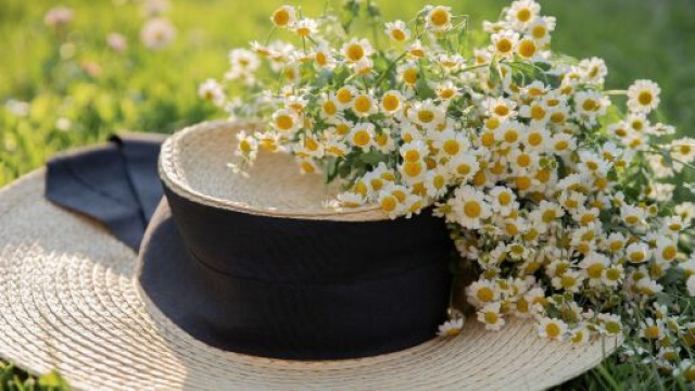 Cappello con fiori © Immagine di Pixabay.