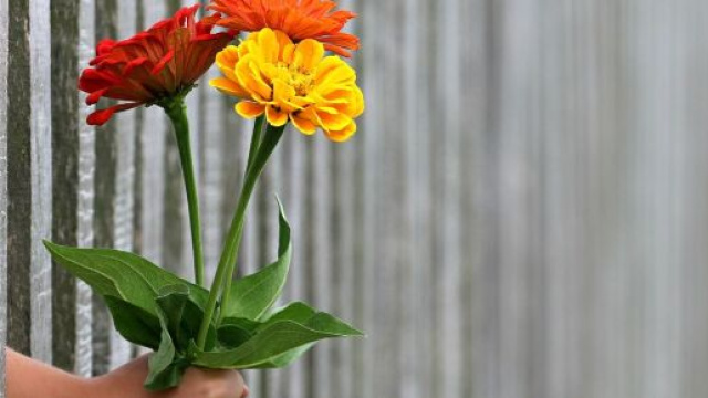 Ragazzo che tiene un mazzo di fiori (©pixabay)