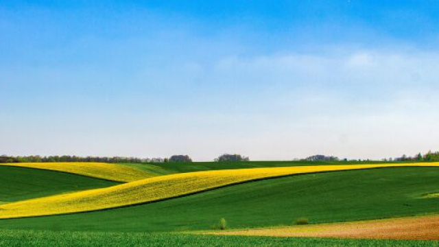 Colline verdi e cielo azzurro © Pexels.com