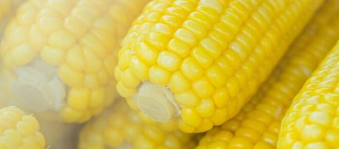 Cicci di santa Lucia, una zuppa a base di verdure fresche e grano