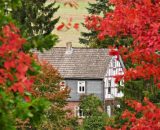 Panorama settembrino con alberi con foglie rosse e casetta sullo sfondo © Pixabay